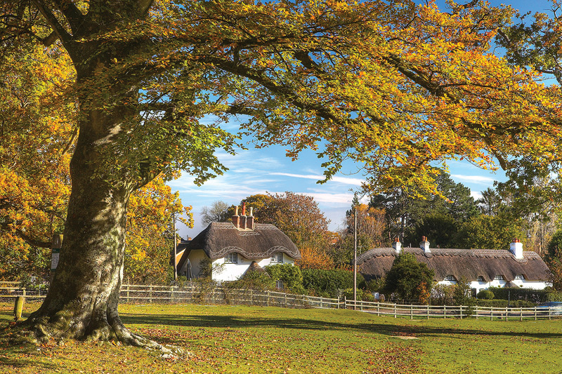 The Old Stables